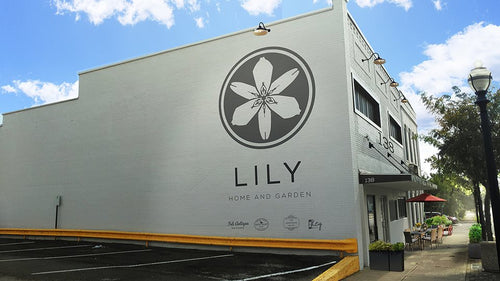 Meet Our Retail Partner: Lily Home & Garden